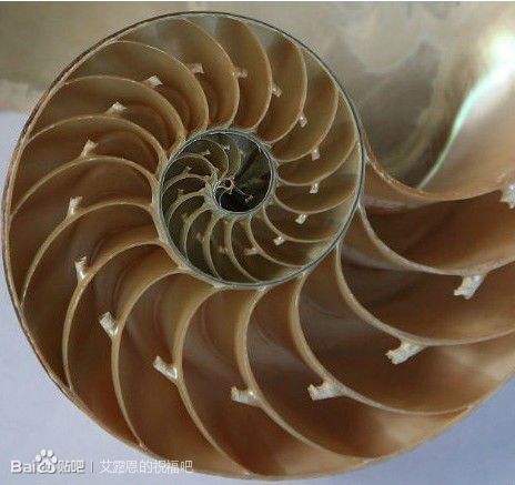 8368df25bc315c602b488d558cb1cb134b5477c5.jpg 8368df25bc315c602b488d558cb1cb134b5477c5.jpg