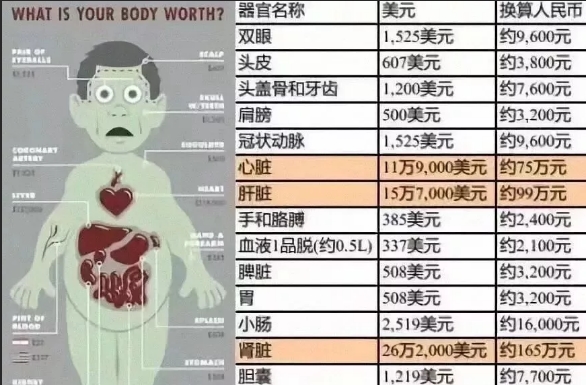 猎豹截图20190806204419.jpg 猎豹截图20190806204419.jpg