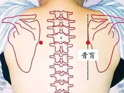 134465553_2_20180531071332253.jpg 134465553_2_20180531071332253.jpg